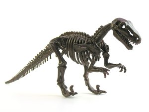 工具和竞品到底差在哪